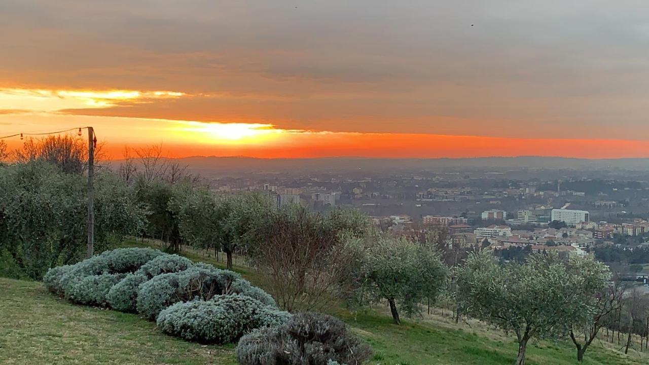 Villa Agriturismo Il Pianetto Verona Exterior foto