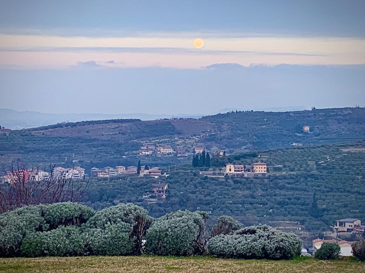 Villa Agriturismo Il Pianetto Verona Exterior foto