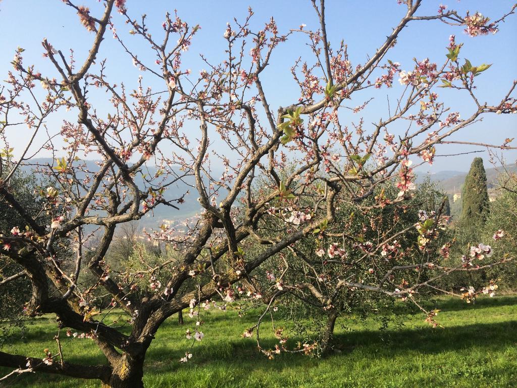 Villa Agriturismo Il Pianetto Verona Exterior foto